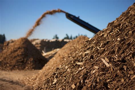 Hva er biomasse energi?
